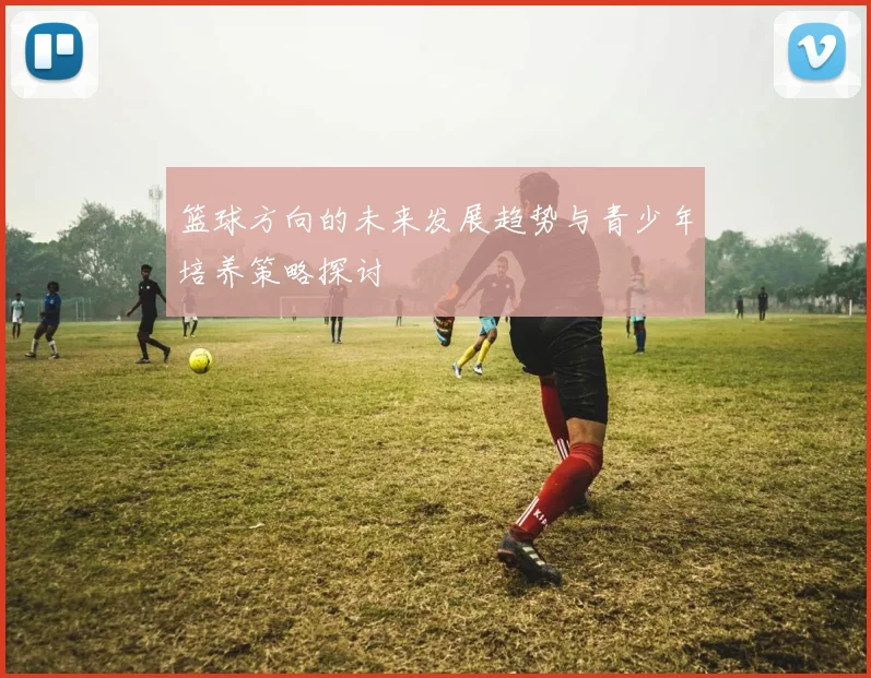 篮球方向的未来发展趋势与青少年培养策略探讨