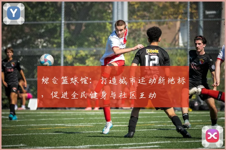 综合篮球馆：打造城市运动新地标，促进全民健身与社区互动